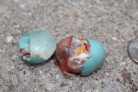 Broken Egg Broken Robin's Egg