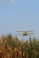 Cropduster Cropdusting biplane
